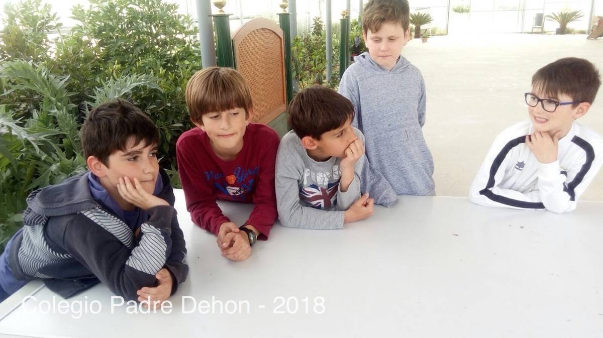 IMAGE 2018 04 18 09:09:26